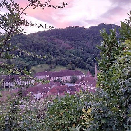 Le Coeur De Sel Leilighet Salins-les-Bains Eksteriør bilde